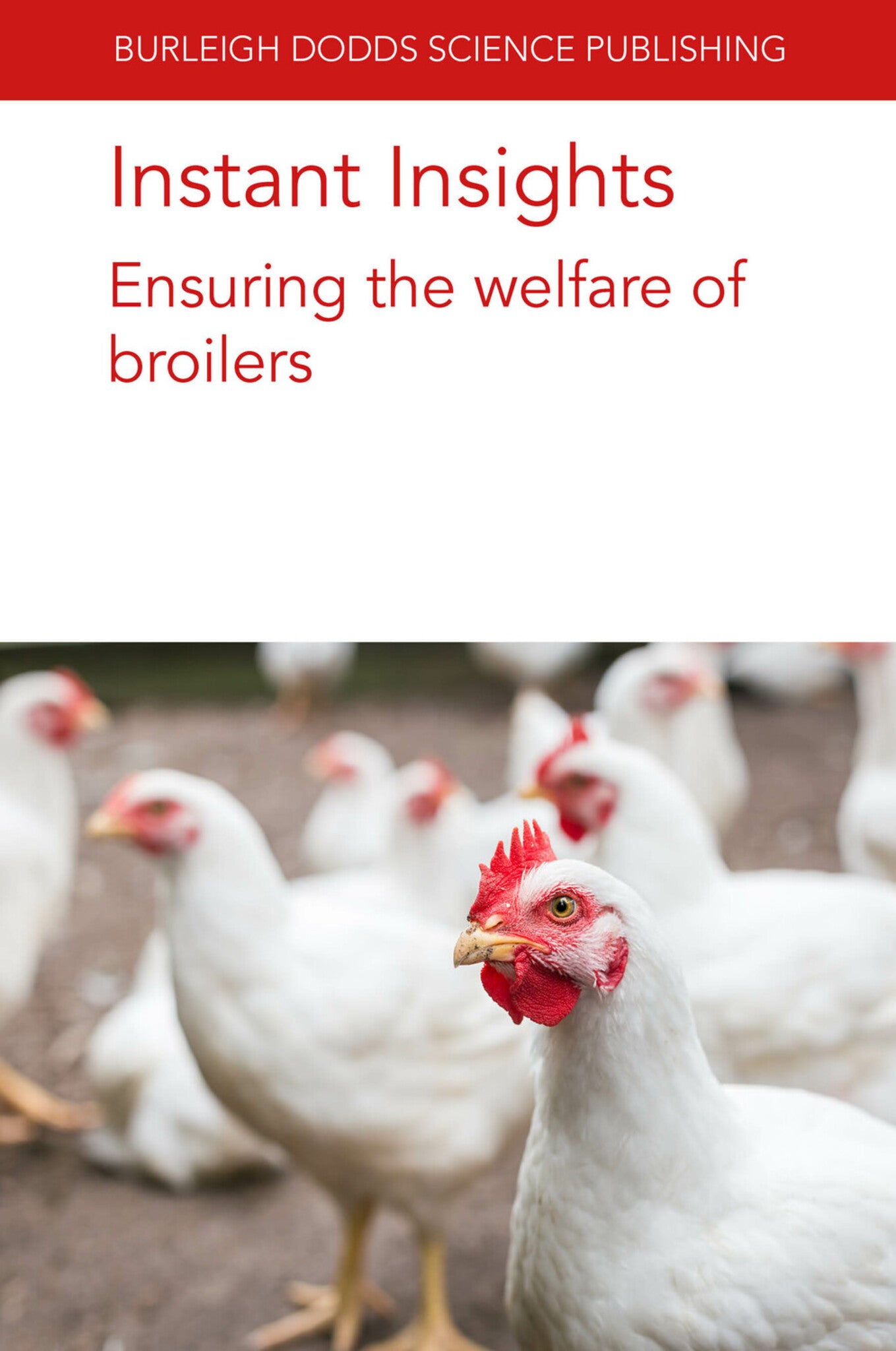 Cover image for Instant Insights: Ensuring the welfare of broilers ISBN 9781801466745